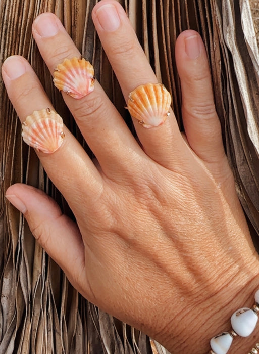 Sunrise Shell Ring