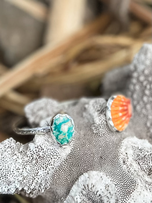 Silver Sunrise Shell Cuff