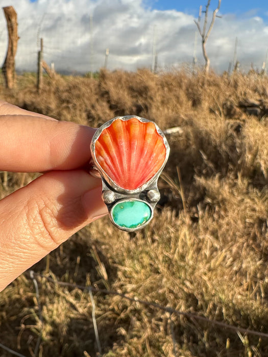 Sunrise Shell/Turquoise Ring