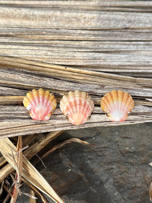 Sunrise Shell Ring
