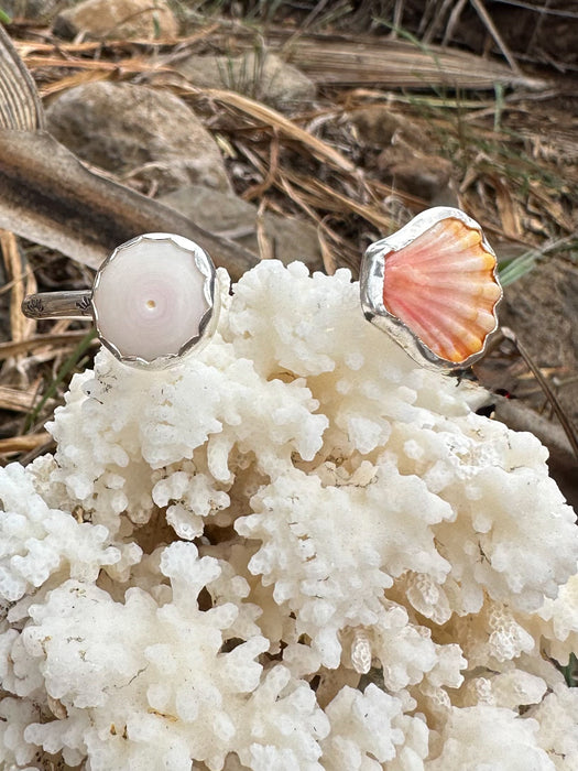 Sunrise Shell Cuff