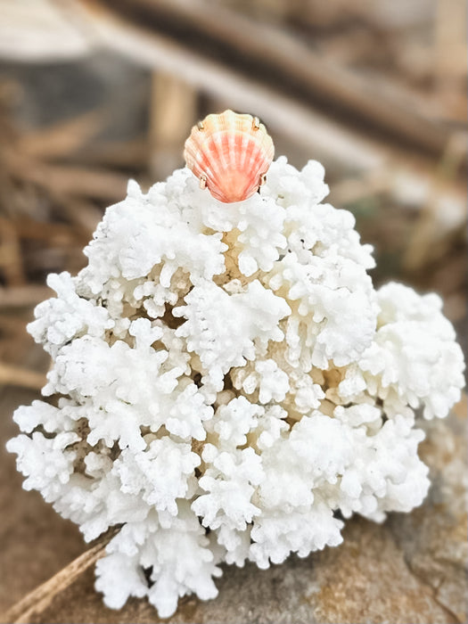 Sunrise Shell Ring