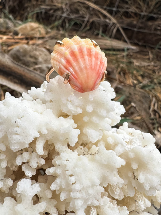 Sunrise Shell Ring