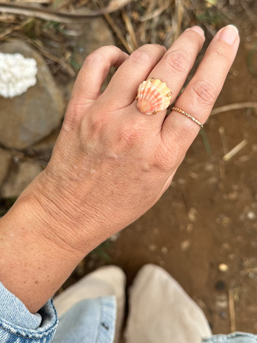 Sunrise Shell Ring