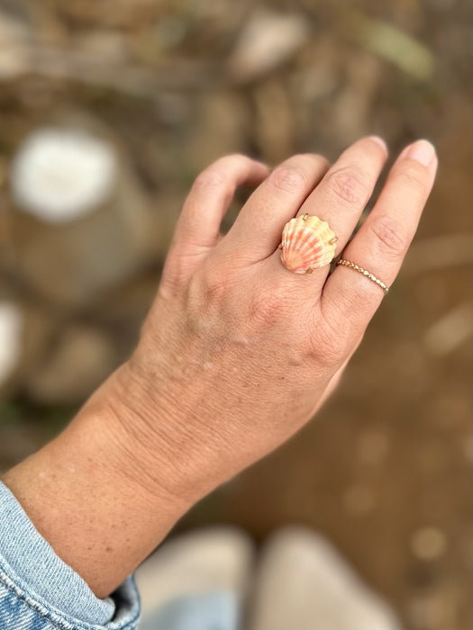 Sunrise Shell Ring