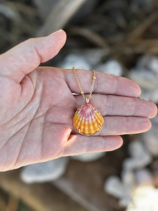 Sunrise Shell Necklace