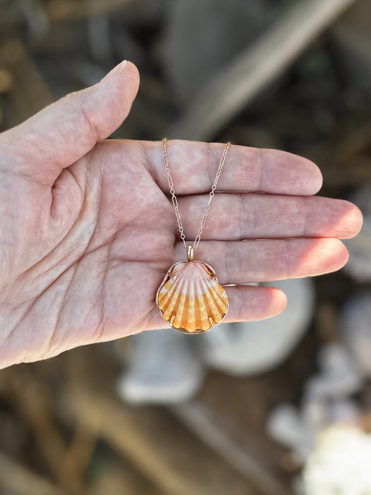 Sunrise Shell Necklace
