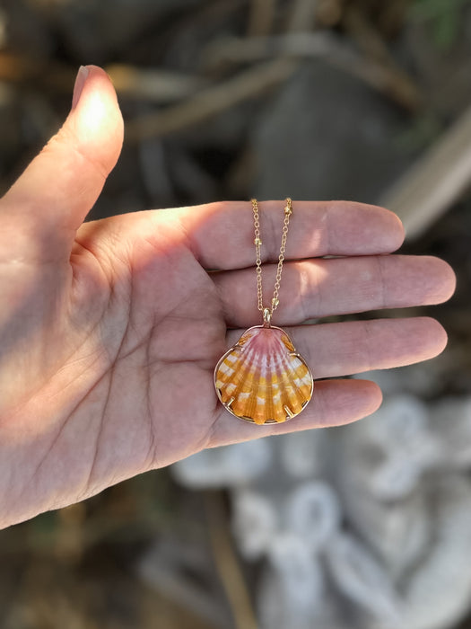 Sunrise Shell Necklace