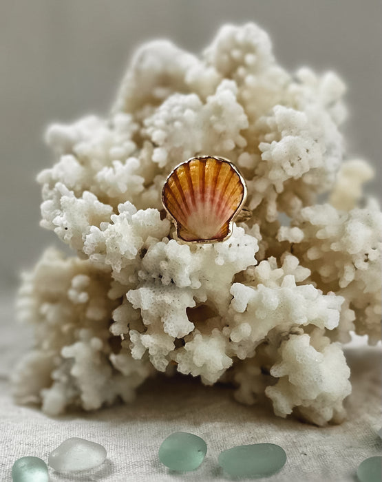Sunrise Shell Ring
