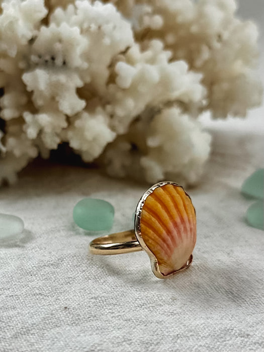 Sunrise Shell Ring