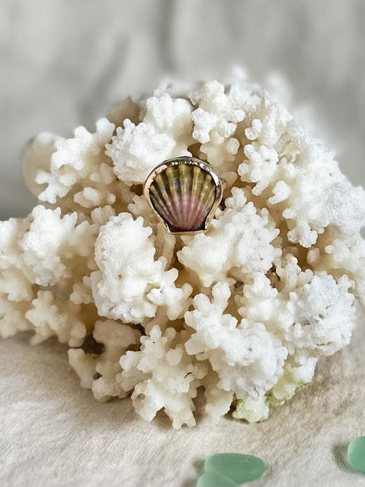 Sunrise Shell Ring