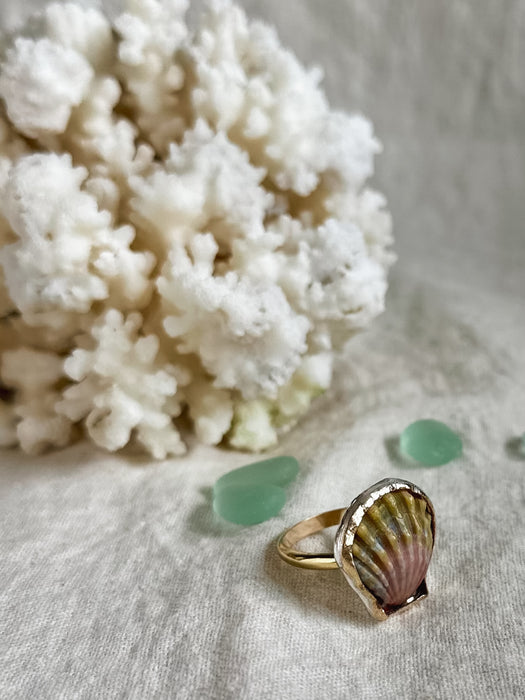 Sunrise Shell Ring