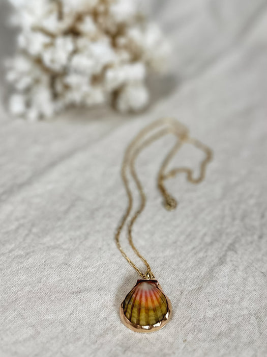 Sunrise Shell Necklace