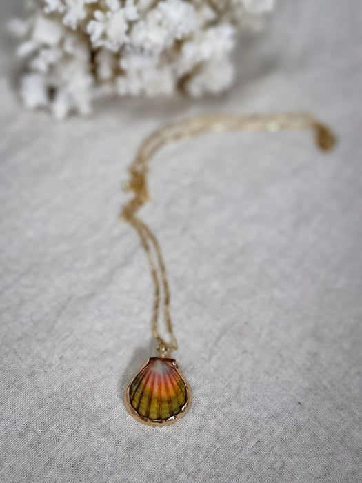 Sunrise Shell Necklace