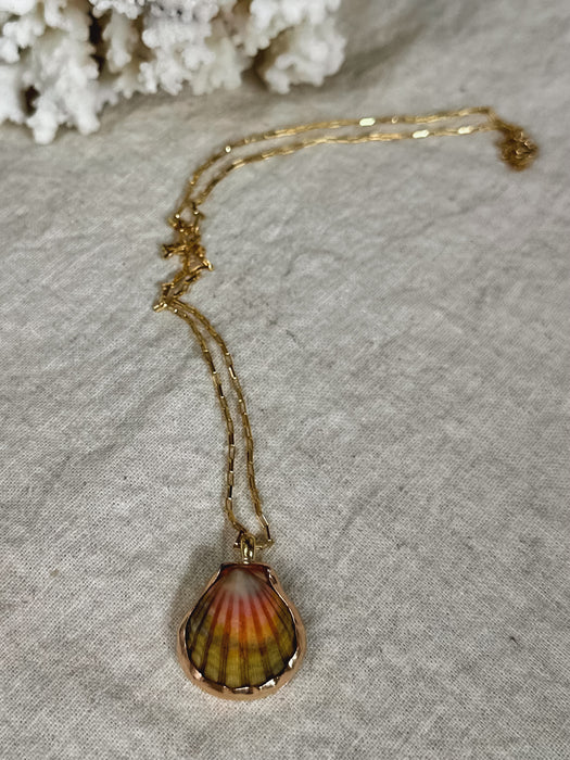 Sunrise Shell Necklace