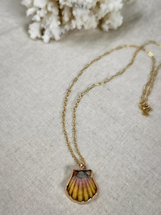 Sunrise Shell Necklace