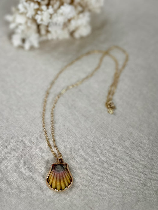 Sunrise Shell Necklace