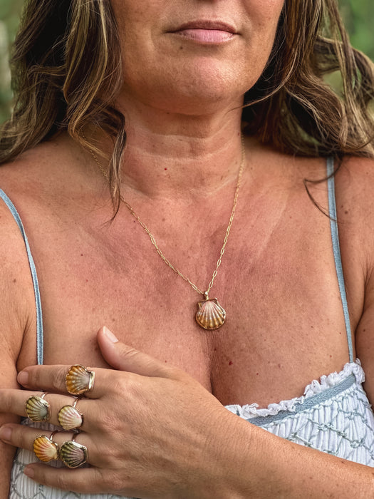 Sunrise Shell Necklace