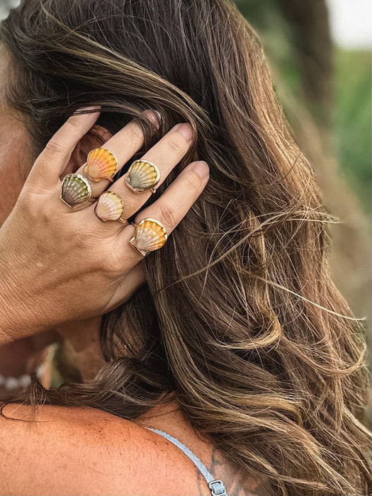 Sunrise Shell Ring