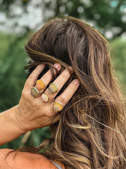 Sunrise Shell Ring