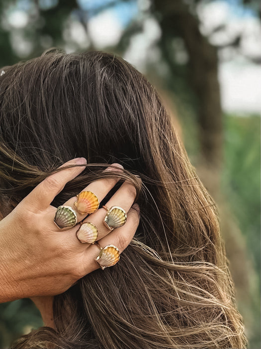 Sunrise Shell Ring